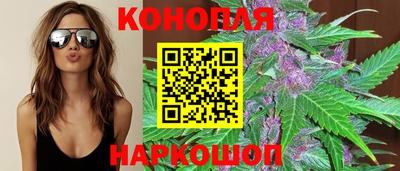 гидропоника Будённовск