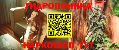 гидропоника Будённовск