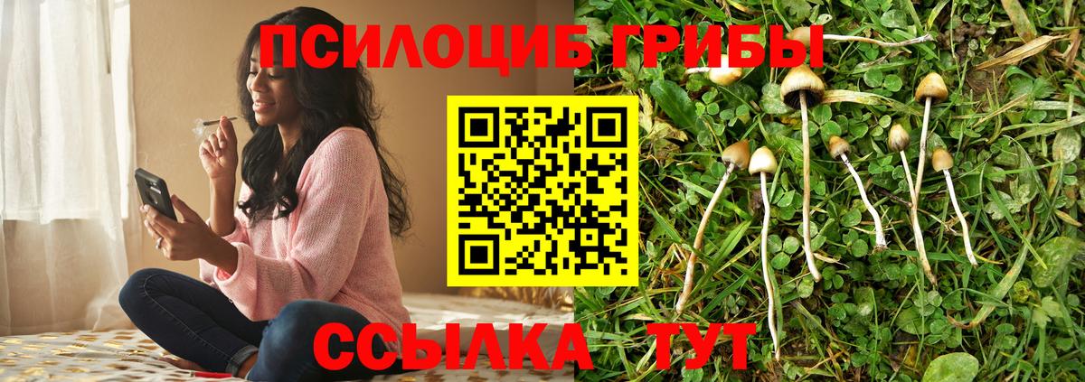 Галлюциногенные грибы прущие грибы  Вход с VPN  Пыть-Ях 